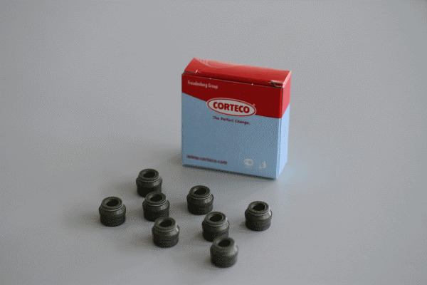 CORTECO Dichtungssatz, Ventilschaft 19036015